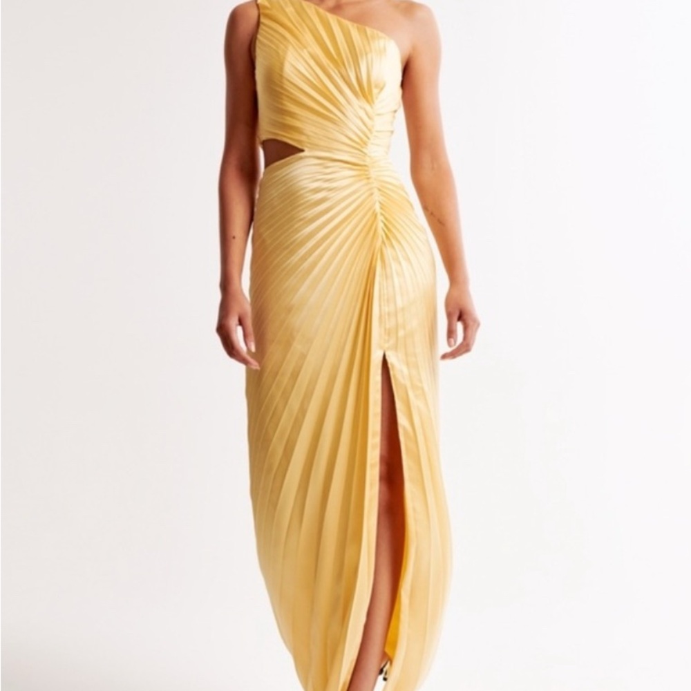 Abercrombie Giselle Pleated Dress